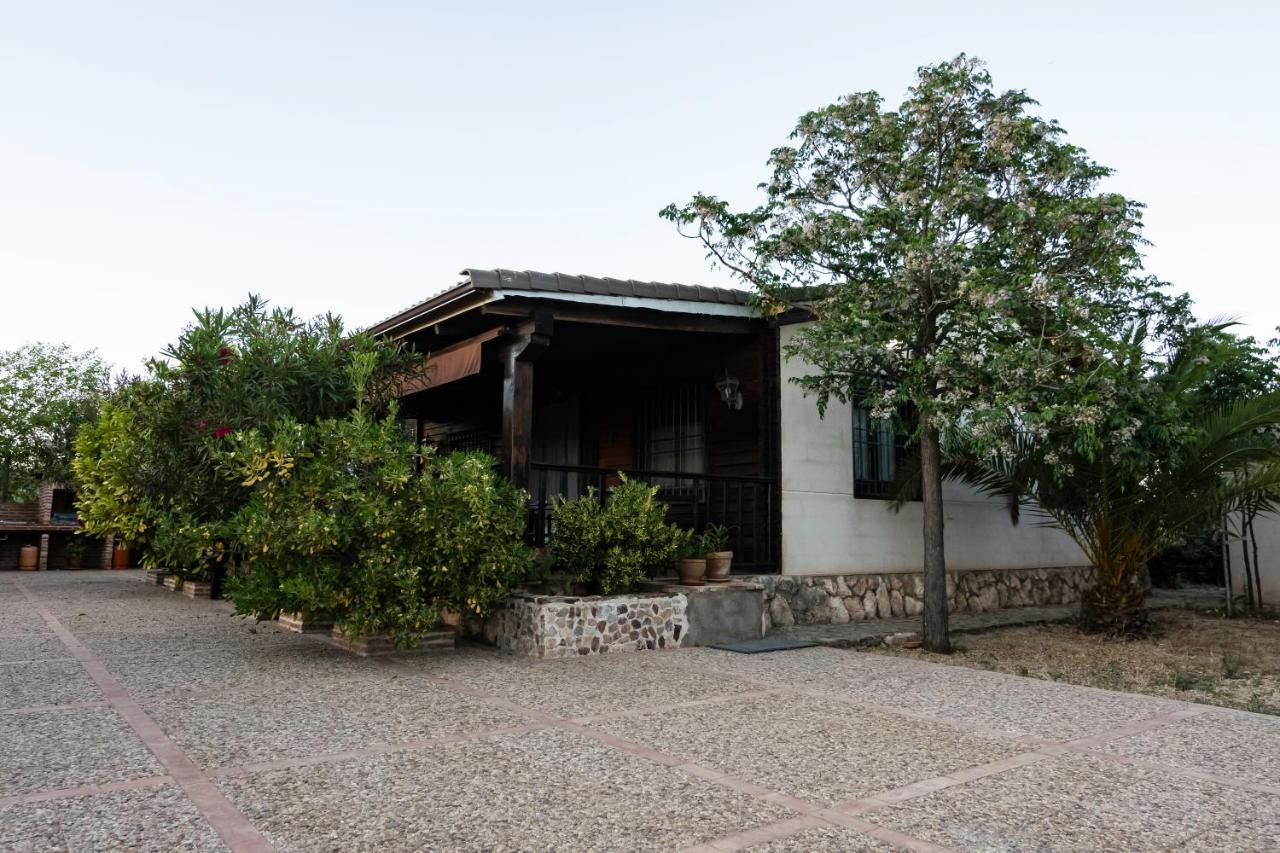 Casa rural Entreolivos Villa Villarrubia de los Ojos Exterior foto